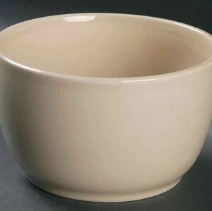 JCPenney Home Ivory Bowl